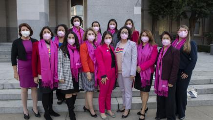 Asm. Aguiar-Curry joins fellow Women's Caucus members in wearing pink to support Planned Parenthood on the anniversary of the Roe V. Wade decision