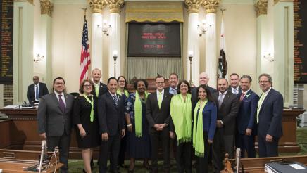 Asm. Aguiar-Curry and other legislators don green to raise awareness of Mental Health Awareness Month